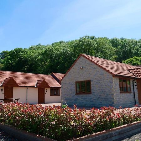 Готель Lillypool Farm Shipham Екстер'єр фото